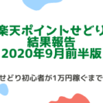 楽天ポイントせどり結果報告１