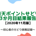 12_2楽天ポイントせどり3か月目結果報告